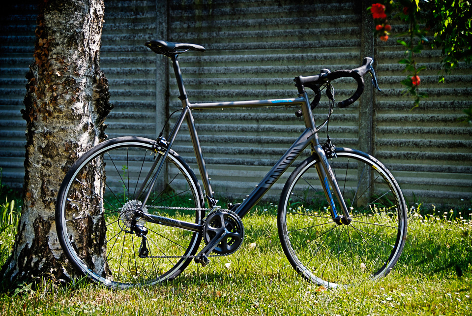 canyon endurace 3xl