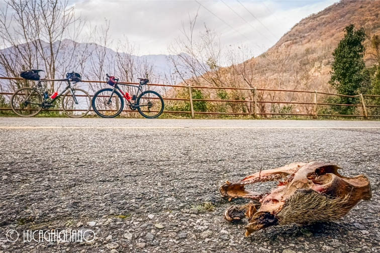 Macabri incontri in direzione del
la panchina gigante di Andrate in bici